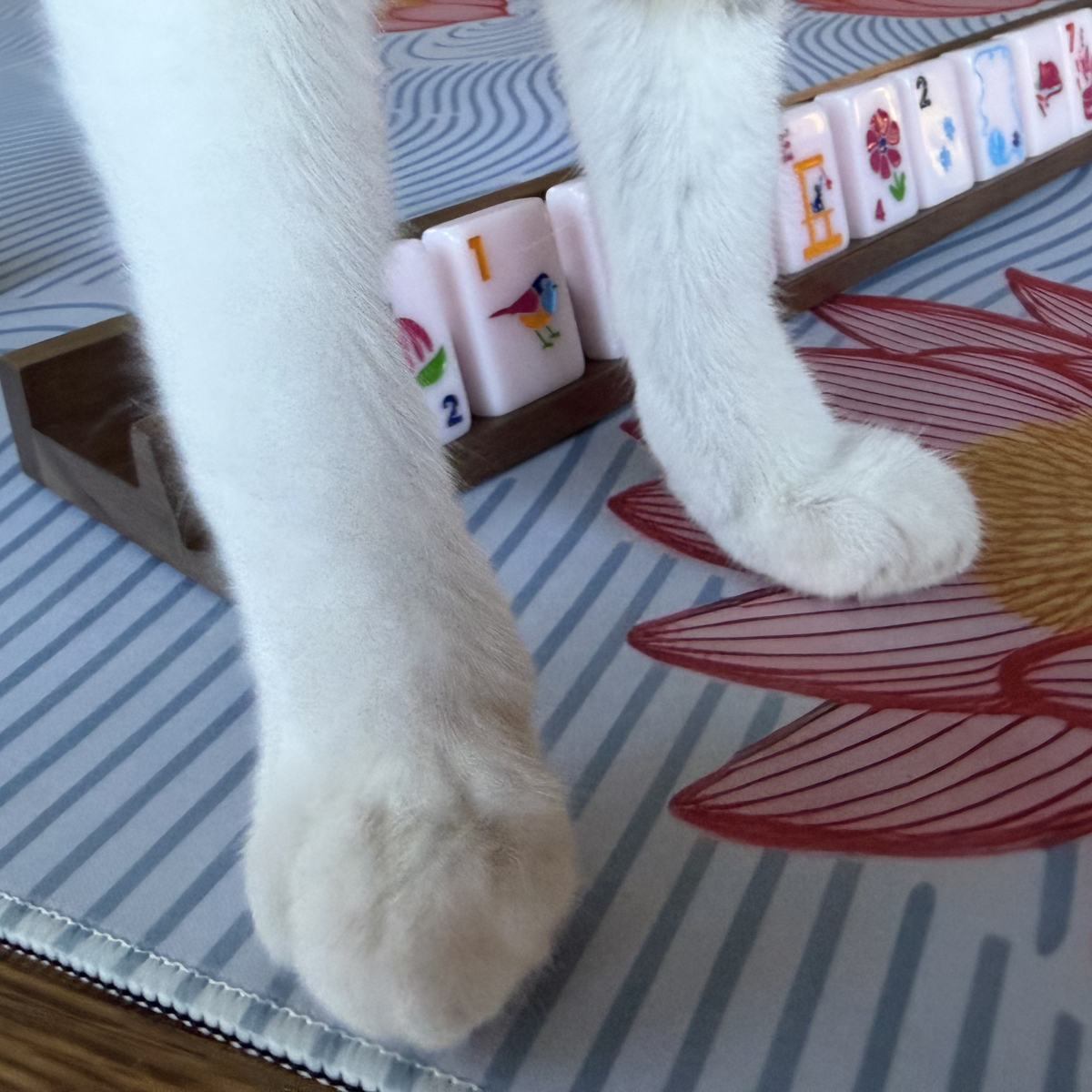 Close-up of a cat's paw interacting with a set of Mahjong tiles on a patterned mahjong mat.